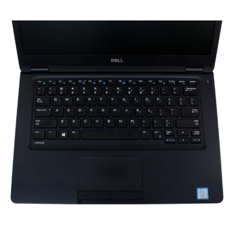 933e383b-dc49-536b-8480-70842c470f6f-1.jpg 933e383b-dc49-536b-8480-70842c470f6f-1.jpg